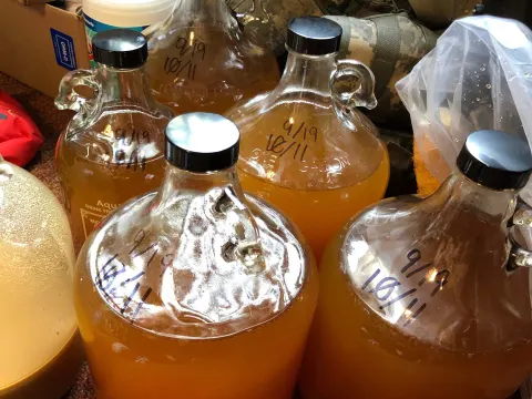 Glass jugs of homemade cider, labeled with dates